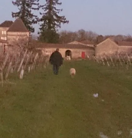Chateau Villotte *