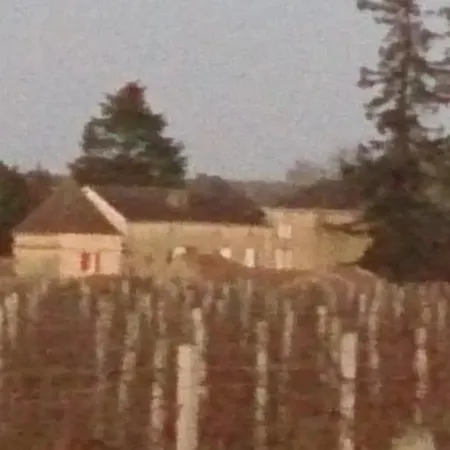 Chateau Villotte Rauzan