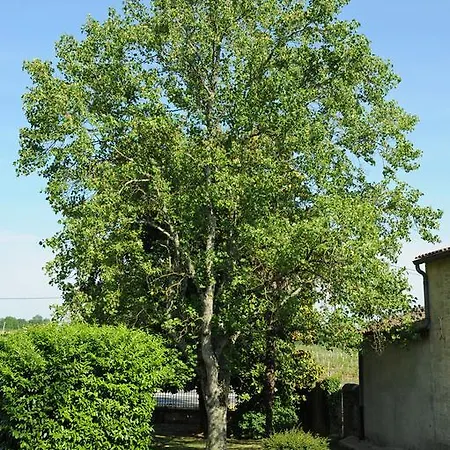 Chateau Villotte